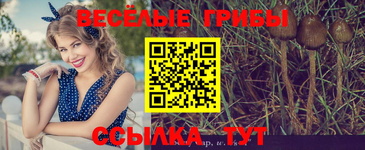 Реутов  Псилоцибиновые грибы MAGIC MUSHROOMS  Вход с VPN  Галлюциногенные грибы мицелий 